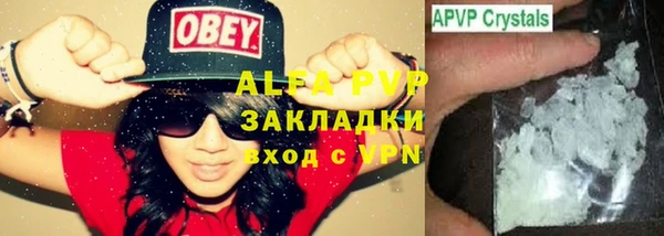 индика Иннополис