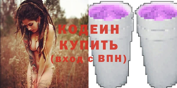 индика Иннополис