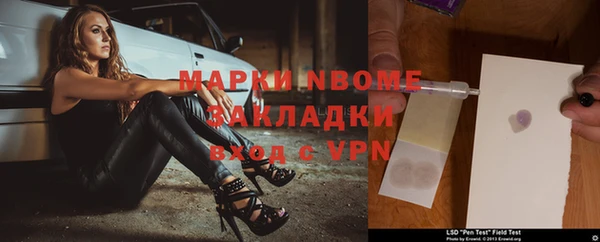 индика Иннополис