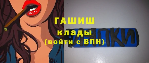 индика Иннополис