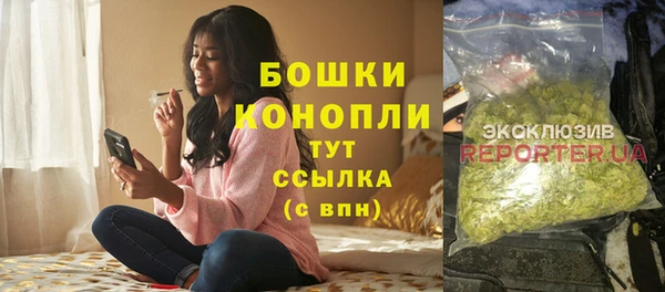 индика Иннополис