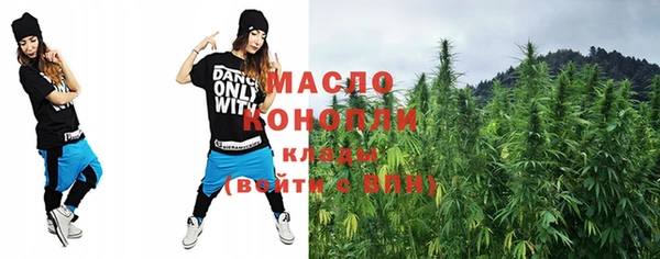 индика Иннополис