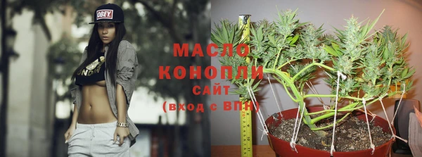 индика Иннополис