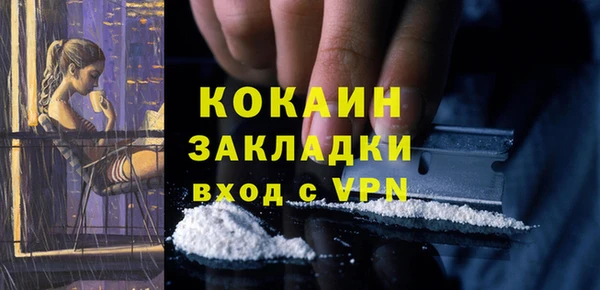 индика Иннополис