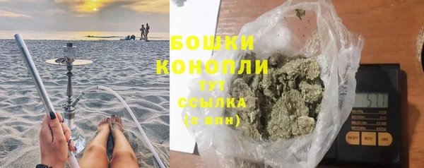 индика Иннополис
