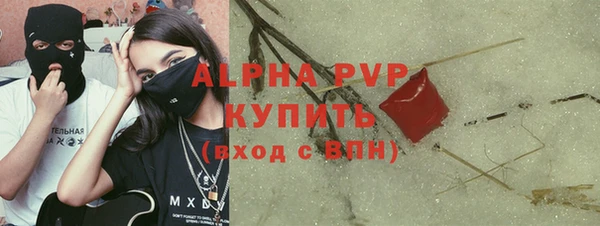 индика Иннополис