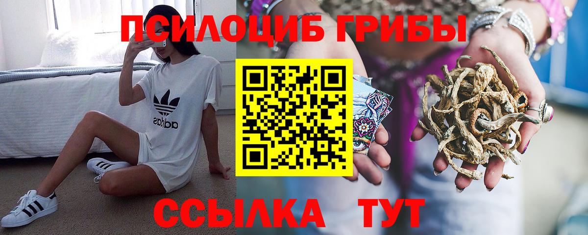 Галлюциногенные грибы прущие грибы  где можно купить   Сарапул  Вход с VPN  Псилоцибиновые грибы ЛСД 